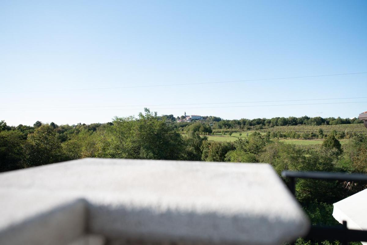 Castle House Rooms, Swimming Pool & Sauna & Tennis Court & Wine Cellar Sezana Exterior photo