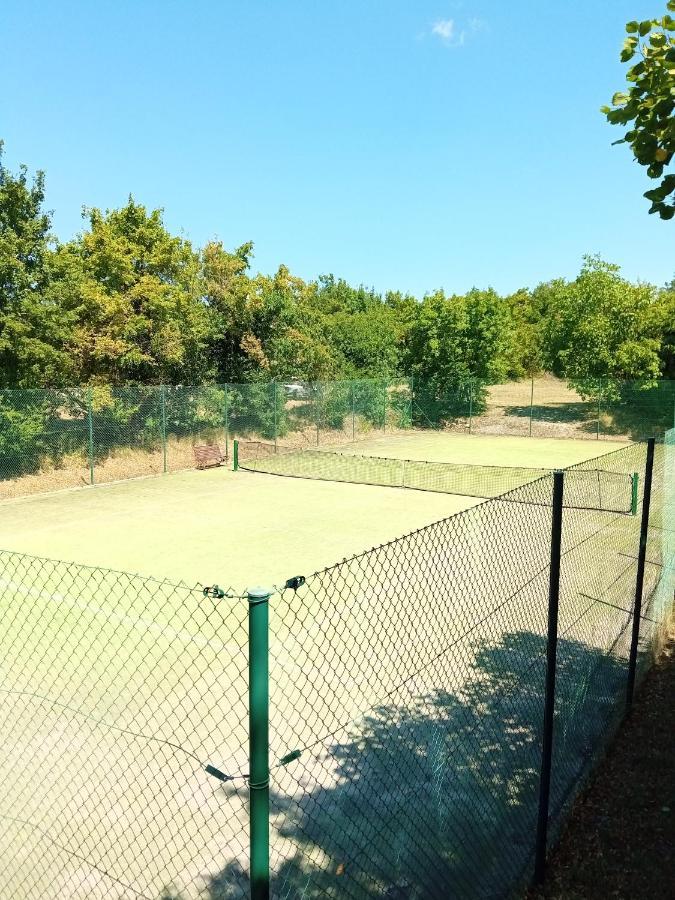 Castle House Rooms, Swimming Pool & Sauna & Tennis Court & Wine Cellar Sezana Exterior photo